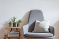 Interior design, modern living, armchair, succulents Royalty Free Stock Photo