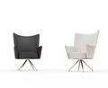 Modern armchairs - black and white