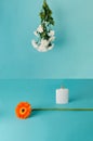 Modern arrangement hanging flowers and laying flower on blue background