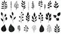 Diverse Leaf Silhouettes: Folk Art-inspired Illustrations In Minimalistic Black And White Royalty Free Stock Photo