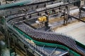 Modern automated beer bottling production line. Beer bottles moving on conveyor Royalty Free Stock Photo