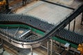 Modern automated beer bottling production line. Beer bottles moving on conveyor Royalty Free Stock Photo