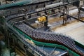 Modern automated beer bottling production line. Beer bottles moving on conveyor Royalty Free Stock Photo