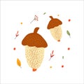 Modern autumn trendy icon of falling acorn and leaves. Scrapbook collection of fall season elements. Flat natural vector