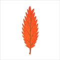 Modern autumn trendy icon of falling oak leaves, maple. Scrapbook collection of fall season elements. Flat natural vector Royalty Free Stock Photo