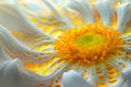 modern background,shining chamomile flower with unusual petals, with unearthly radiance,close-up,concept of graphic and web design