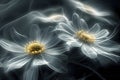 modern background,shining chamomile flowers with transparent petals,shrouded in smoke with an unearthly radiance,dark background,