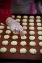 Modern bakery in confectionery factory. Cookies in the oven Royalty Free Stock Photo