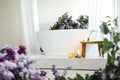 Modern bath room and spa center on the white tub wooden table Royalty Free Stock Photo