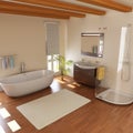 Modern bathroom