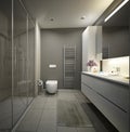 Bathroom design project. 3d rendering