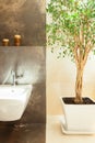 Modern bathroom details Royalty Free Stock Photo