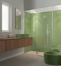 Modern bathroom in green and wooden tones, concrete tiles floor, large shower with tiles and spotlight, washbasin with mirror, Royalty Free Stock Photo