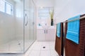 Modern Bathroom Interior Royalty Free Stock Photo