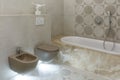 Modern bathroom interior. Large bath and marble walls. Brown toilet and bidet. Bottom light. Shelf with statuette