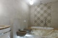 Modern bathroom interior. Large bath and marble walls. Rain shower. Brown toilet and bidet. Bottom light Royalty Free Stock Photo