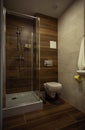 Modern bathroom interior with minimalistic shower and lighting, white toilet