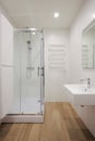 Modern bathroom interior with shower cabin and washbasin Royalty Free Stock Photo