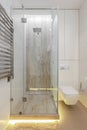 Modern bathroom interior with shower cabin and white toilet Royalty Free Stock Photo