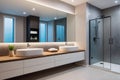 Modern bathroom interior with walk-in shower and double vanity, natural materials, big mirror, LED lighting, indoor plant Royalty Free Stock Photo