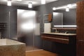 Modern Bathroom interior with wood elements; 3d ilustration, 3d rendering