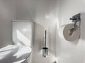 Modern Bathroom Elegance: Chrome Accessories Porcelain Toilet