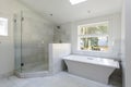 Modern bathroom with shower and bathtub Royalty Free Stock Photo