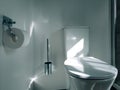 Polished Chrome Bathroom: Elegance in Simplicity