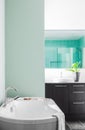 Modern Bathroom using soft Green Pastel Colors Royalty Free Stock Photo