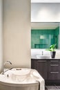 Modern Bathroom using soft Green Pastel Colors Royalty Free Stock Photo