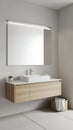 Modern Bathroom Vanity with Mirror and Sink Setup Royalty Free Stock Photo