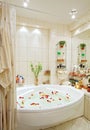 Modern bathroom in warm tones with jacuzzi Royalty Free Stock Photo