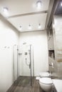 Modern bathroom in white and gray tones with mosaic on wide angle view Royalty Free Stock Photo