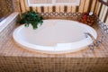 Modern bathtub Royalty Free Stock Photo