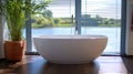 Modern bathtub, lake view, sunlight, plant, home Royalty Free Stock Photo