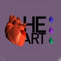 Modern beautiful stylized monotone human organ symbols and icons of heart - part of a set