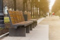 Modern bench in an alley in moscow city