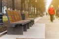 Modern bench in an alley in moscow city