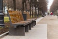 Modern bench in an alley in moscow city