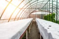 Modern big plastic greenhouse interior with empty flowerbed covered by white mulching cloth fabric with cell holes for plants