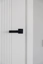 Modern black door handle on white wooden door in interior. Royalty Free Stock Photo