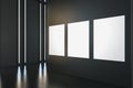 Modern black gallery interior with blank white mock up billboards on wall. Museum room concept. Royalty Free Stock Photo