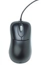 Modern black optical mouse Royalty Free Stock Photo