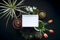 Picture frame mockup. Cactus, succulent plants, tulips, and decorative rocks. View from above Royalty Free Stock Photo