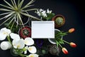 Picture frame mockup. Cactus, succulent plants, tulips, and decorative rocks. View from above Royalty Free Stock Photo