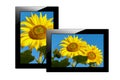 Modern black tablet computer isolated on white background. Tablet pc and screen with Image of sunflowers. Royalty Free Stock Photo