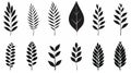 Modern Black White Wheat Leaves Set With Simplified Structures