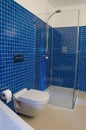 Modern Blue Bathroom