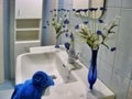 Modern blue bathroom