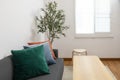 Modern Blue, green, and orange pillow on sofa in living room with olive tree in plant pot. Royalty Free Stock Photo